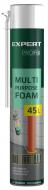 Піна монтажна EXPERT Profix multi purpose foam 45 L 750 мл
